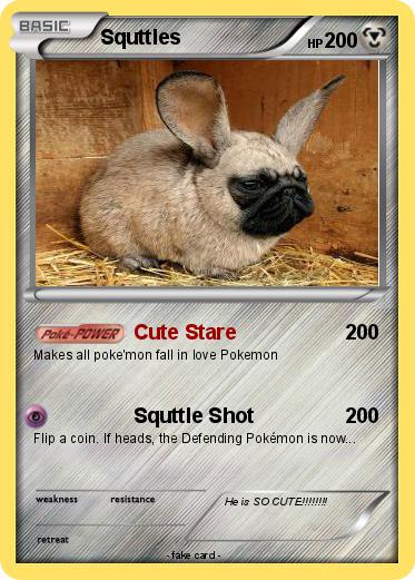 Pokemon Squttles