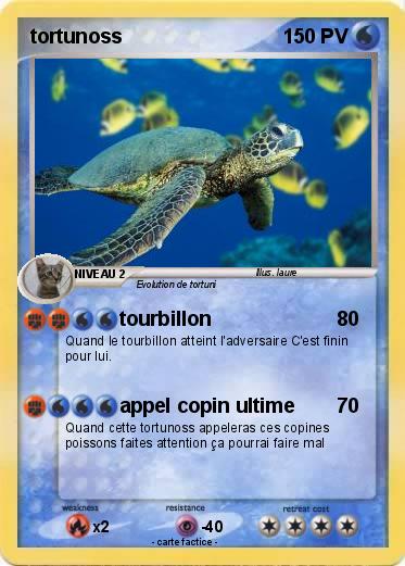 Pokemon tortunoss