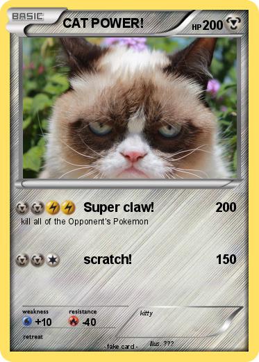 Pokemon CAT POWER!