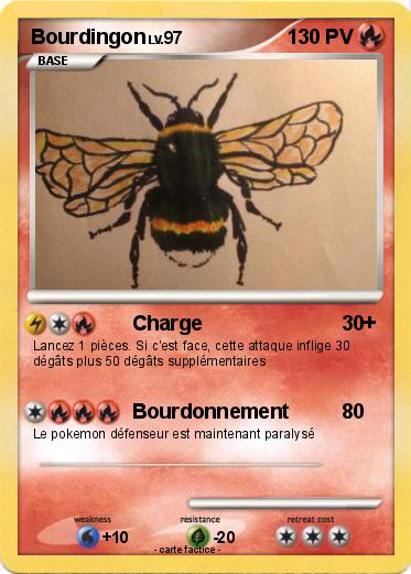 Pokemon Bourdingon