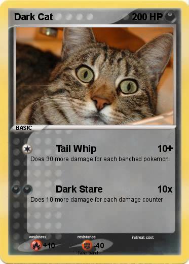 Pokemon Dark Cat