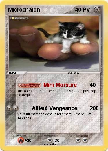 Pokemon Microchaton