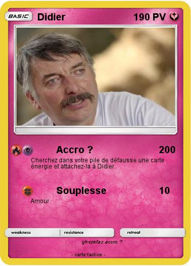 Pokemon Didier