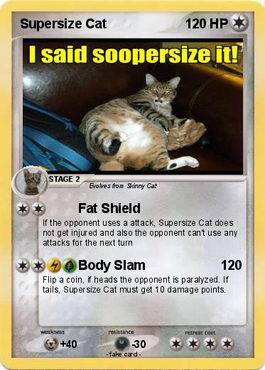 Pokemon Supersize Cat
