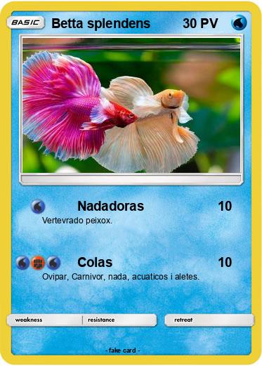 Pokemon Betta splendens
