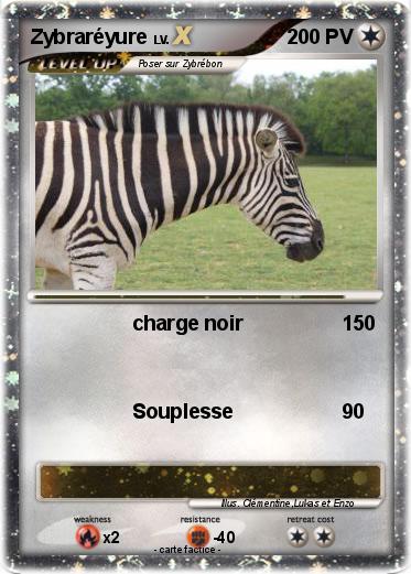 Pokemon Zybraréyure