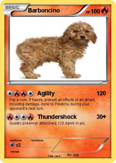 Pokemon Barboncino