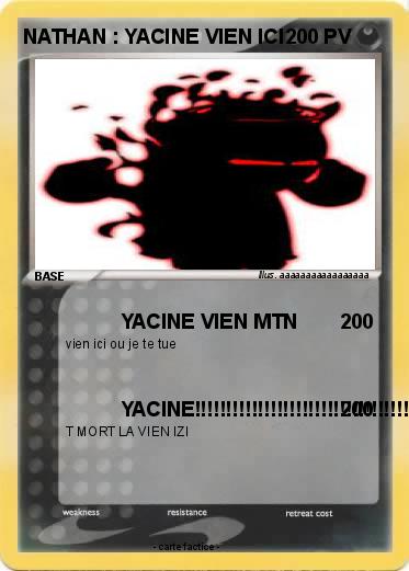 Pokemon NATHAN : YACINE VIEN ICI