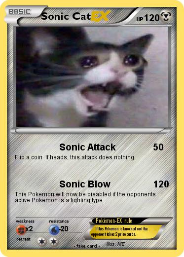 Pokemon Sonic Cat