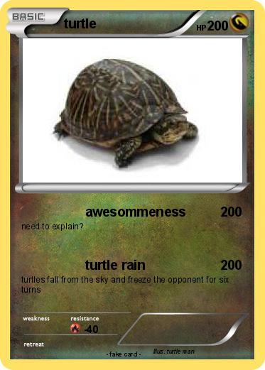 Pokemon turtle