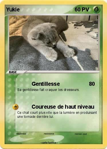 Pokemon Yukie