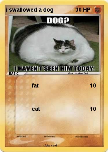 Pokemon i swallowed a dog