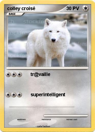 Pokemon colley croisé