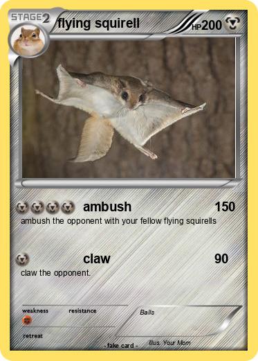 Pokemon flying squirell
