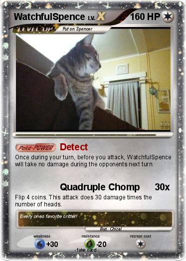 Pokemon WatchfulSpence