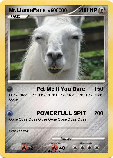 Pokemon Mr.LlamaFace