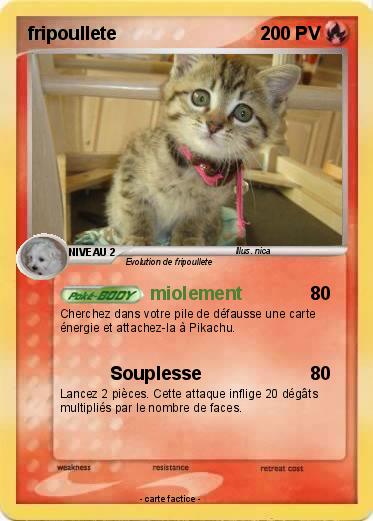Pokemon fripoullete