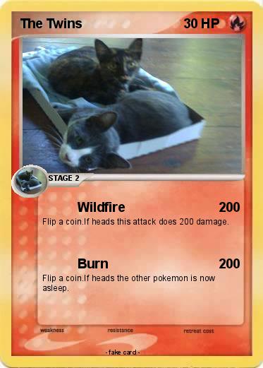Pokemon The Twins