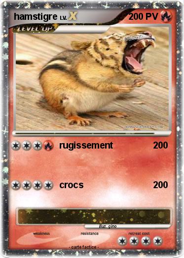 Pokemon hamstigre