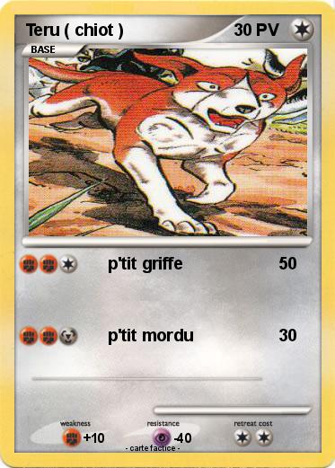 Pokemon Teru ( chiot )