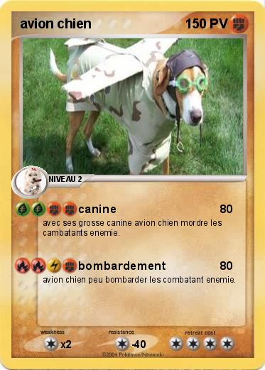 Pokemon avion chien