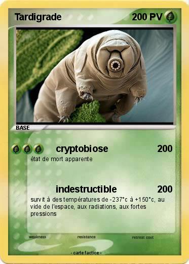 Pokemon Tardigrade