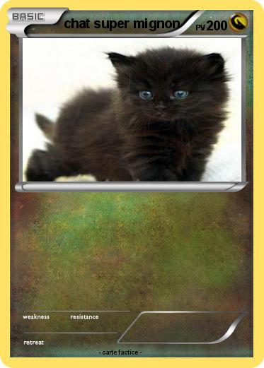 Pokemon chat super mignon