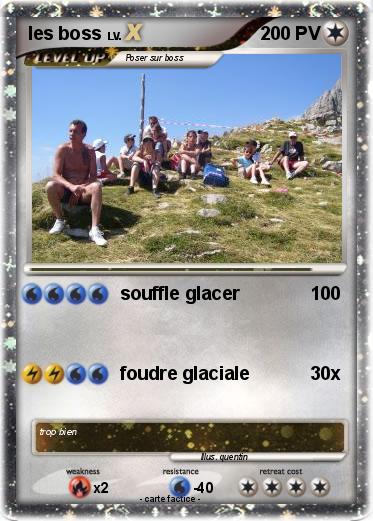 Pokemon les boss