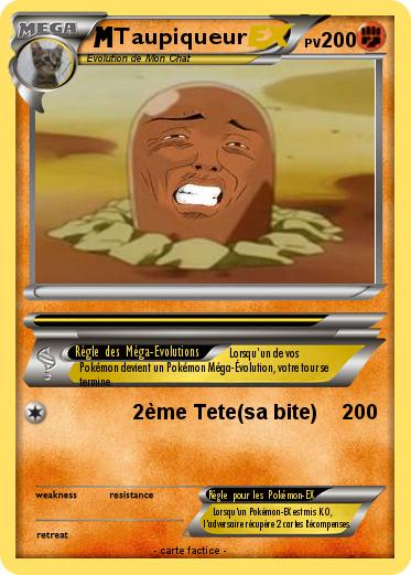 Pokemon Taupiqueur