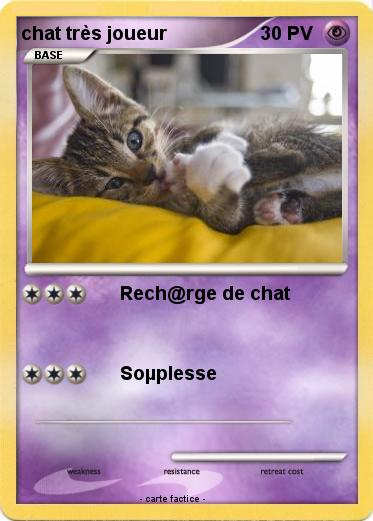 Pokemon chat très joueur