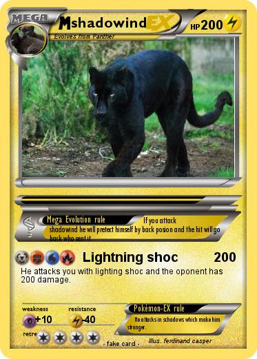 Pokemon shadowind