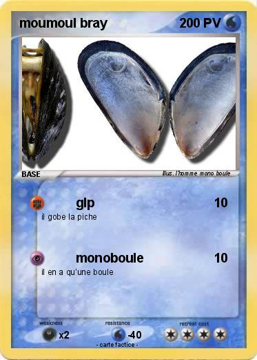 Pokemon moumoul bray