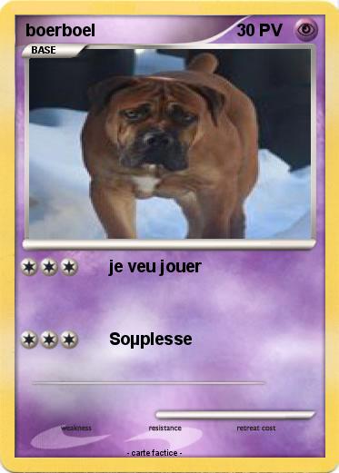 Pokemon boerboel
