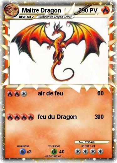 Pokemon Maitre Dragon           3