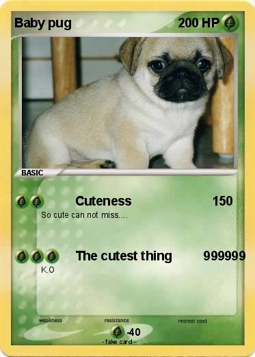 Pokemon Baby pug