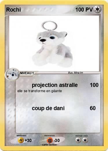 Pokemon Rochi