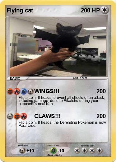 Pokemon Flying cat