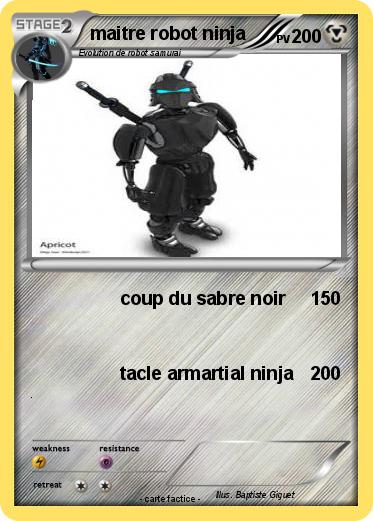 Pokemon maitre robot ninja