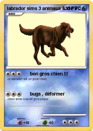Pokemon labrador sims 3 animaux & cie PC