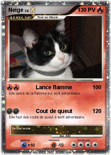 Pokemon Neige