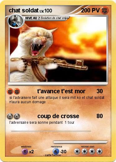 Pokemon chat soldat