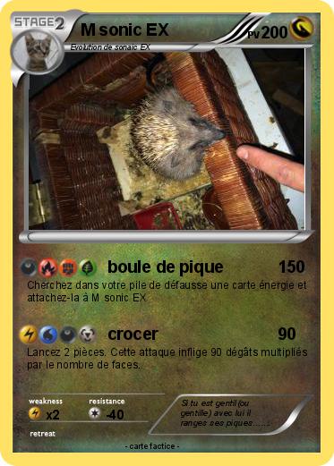 Pokemon M sonic EX