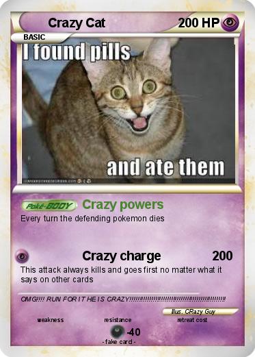 Pokemon Crazy Cat
