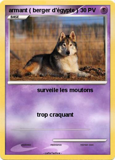 Pokemon armant ( berger d'égypte )
