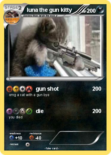 Pokemon luna the gun kitty