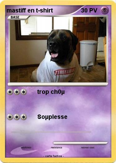 Pokemon mastiff en t-shirt