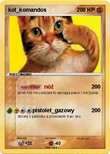 Pokemon kot_komandos