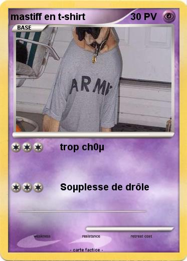Pokemon mastiff en t-shirt