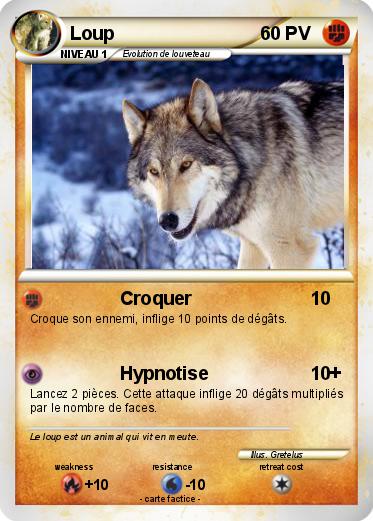 Pokemon Loup