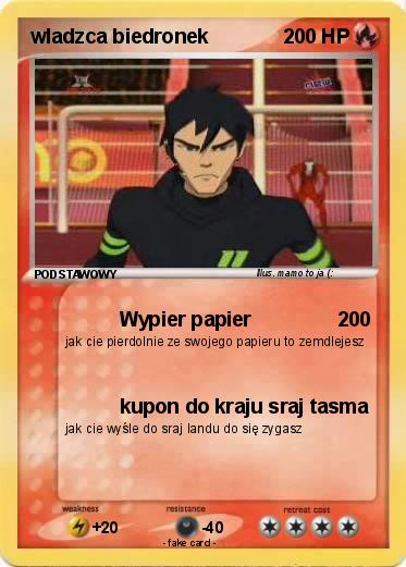 Pokemon wladzca biedronek